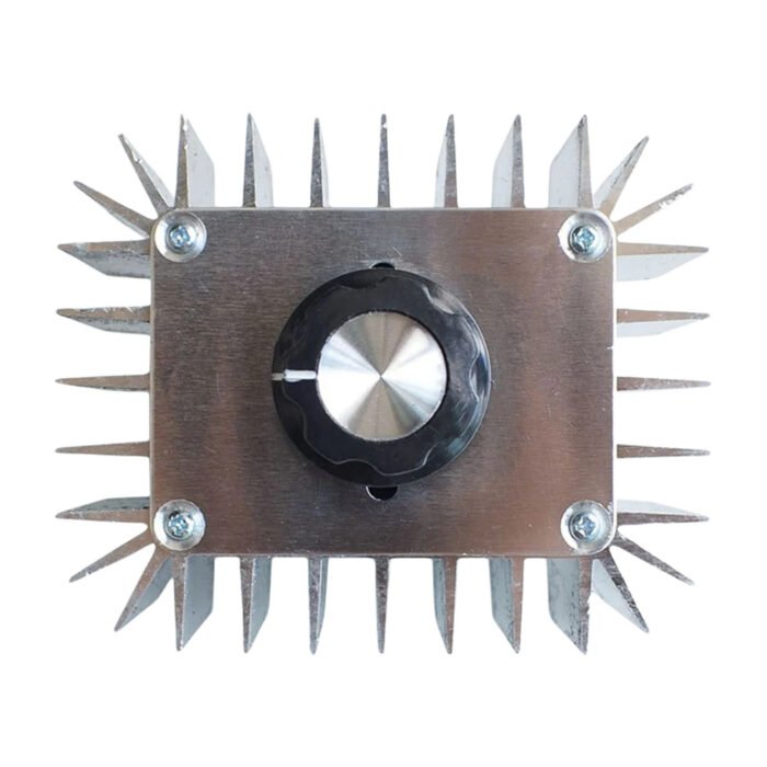 Régulateur de Tension AC 220V – 5000W – Image 4